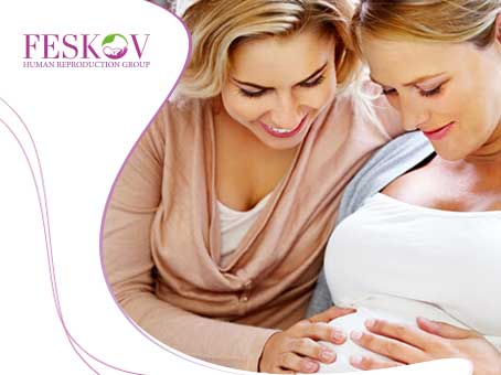 What Is Surrogate Motherhood? picture