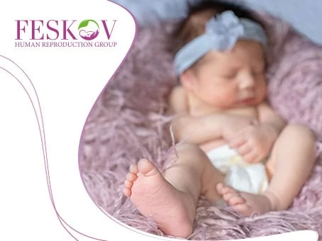 news: Egg donation in Europe foto news: Egg donation in Europe picture