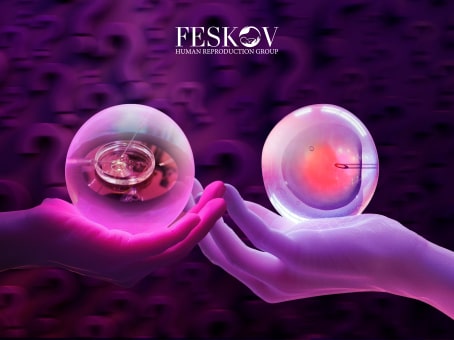 What Is The Difference Between IVF And ICSI? picture