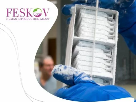news: What is a Cryobank? foto news: What is a Cryobank? picture